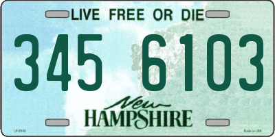 NH license plate 3456103