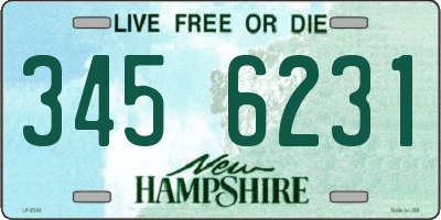 NH license plate 3456231