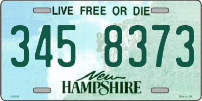 NH license plate 3458373