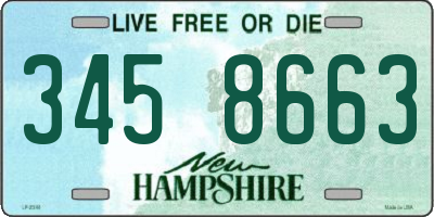 NH license plate 3458663