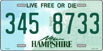 NH license plate 3458733