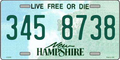 NH license plate 3458738