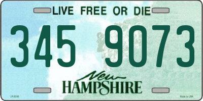 NH license plate 3459073