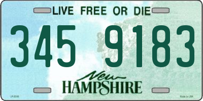 NH license plate 3459183