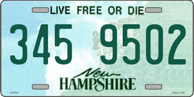 NH license plate 3459502