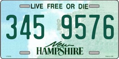 NH license plate 3459576