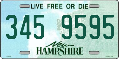 NH license plate 3459595