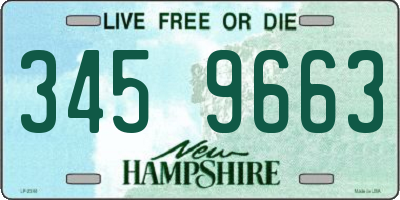 NH license plate 3459663
