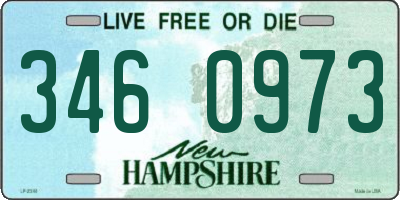 NH license plate 3460973