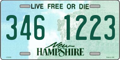 NH license plate 3461223