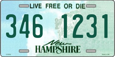 NH license plate 3461231