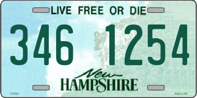 NH license plate 3461254