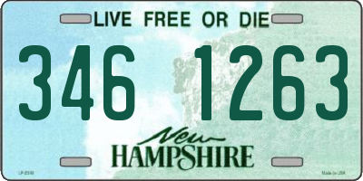 NH license plate 3461263