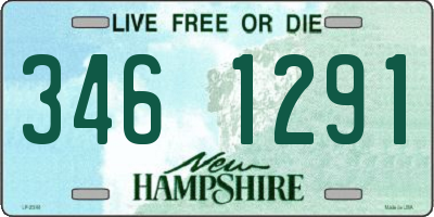 NH license plate 3461291