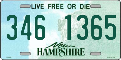 NH license plate 3461365