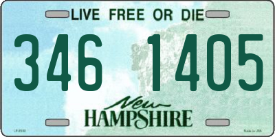 NH license plate 3461405