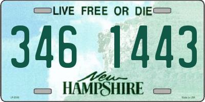 NH license plate 3461443