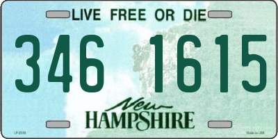 NH license plate 3461615