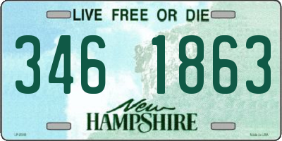 NH license plate 3461863