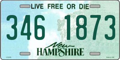 NH license plate 3461873