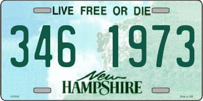 NH license plate 3461973
