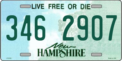 NH license plate 3462907