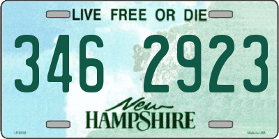NH license plate 3462923