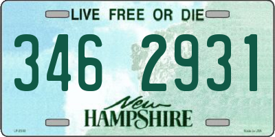 NH license plate 3462931