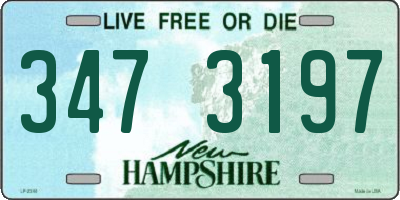 NH license plate 3473197