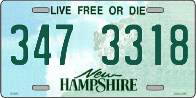 NH license plate 3473318