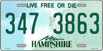 NH license plate 3473863