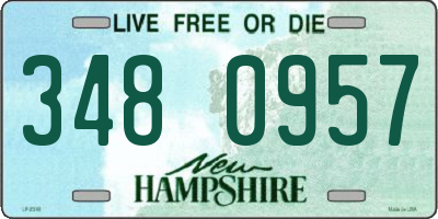 NH license plate 3480957