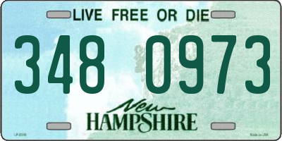 NH license plate 3480973