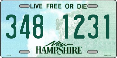 NH license plate 3481231