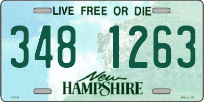 NH license plate 3481263