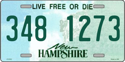 NH license plate 3481273