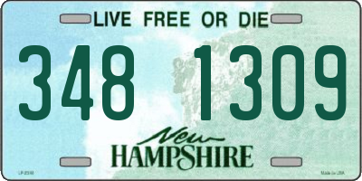 NH license plate 3481309