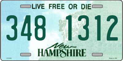 NH license plate 3481312