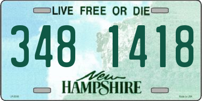 NH license plate 3481418