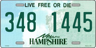 NH license plate 3481445