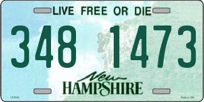 NH license plate 3481473