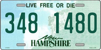NH license plate 3481480