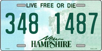 NH license plate 3481487