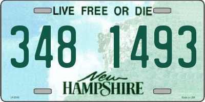 NH license plate 3481493