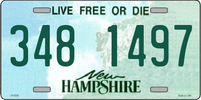 NH license plate 3481497