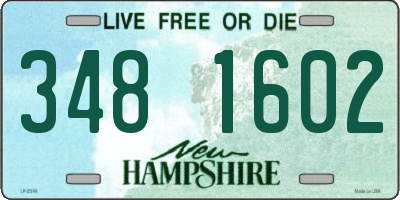 NH license plate 3481602