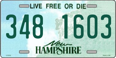 NH license plate 3481603