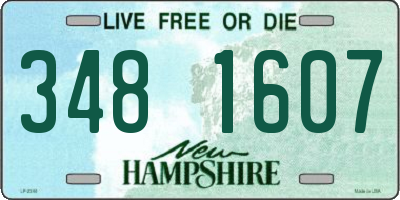 NH license plate 3481607