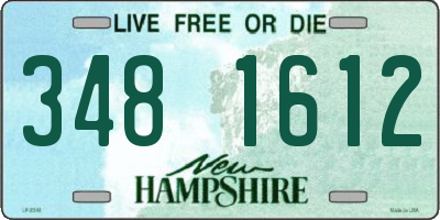 NH license plate 3481612