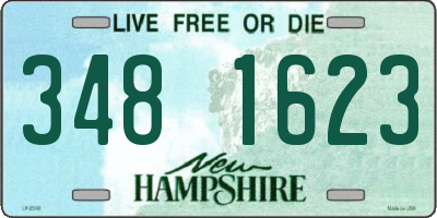 NH license plate 3481623